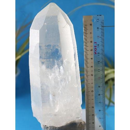 レムリアンシードクォーツ ナチュラル 産地 ブラジル マスタークリスタル レムリアンリッジ シンギングクリスタル 天然石 鉱物 1点もの 現品撮影 RMS-122 🌸 一点物】レムリアンシードクリスタル原石｜成長線が刻まれた高波動の天然水晶ポイント｜レムリアの記憶を宿す癒しの石