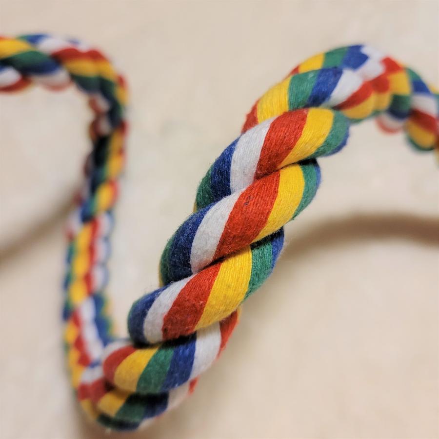 インコ おもちゃ ロープ 布製 止まり木 足場 インコロープ バード