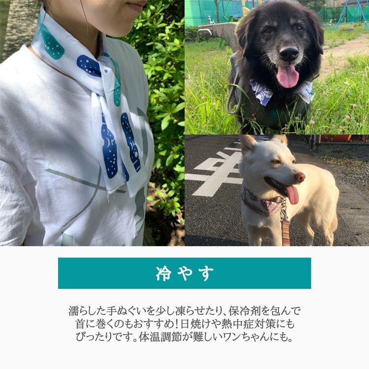 手ぬぐい　そらのおとしもの 捺染てぬぐい「そら豆」【3枚以上で送料無料】 手拭い 小紋柄 夏