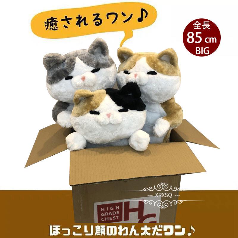 プレゼント 猫 ぬいぐるみ 抱き枕 特大 かわいい 彼女 子供 小学生 女の子 にゃん太ごろ寝ぬいぐるみ2号 全3種類 ねこ 敬老の日 クリスマス Xrxbz1010 Picoo 通販 Yahoo ショッピング