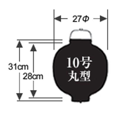 熟練職人手書き| 10号丸型 1面 黒1色+白フチ名入れ ビニール提灯 全6種 