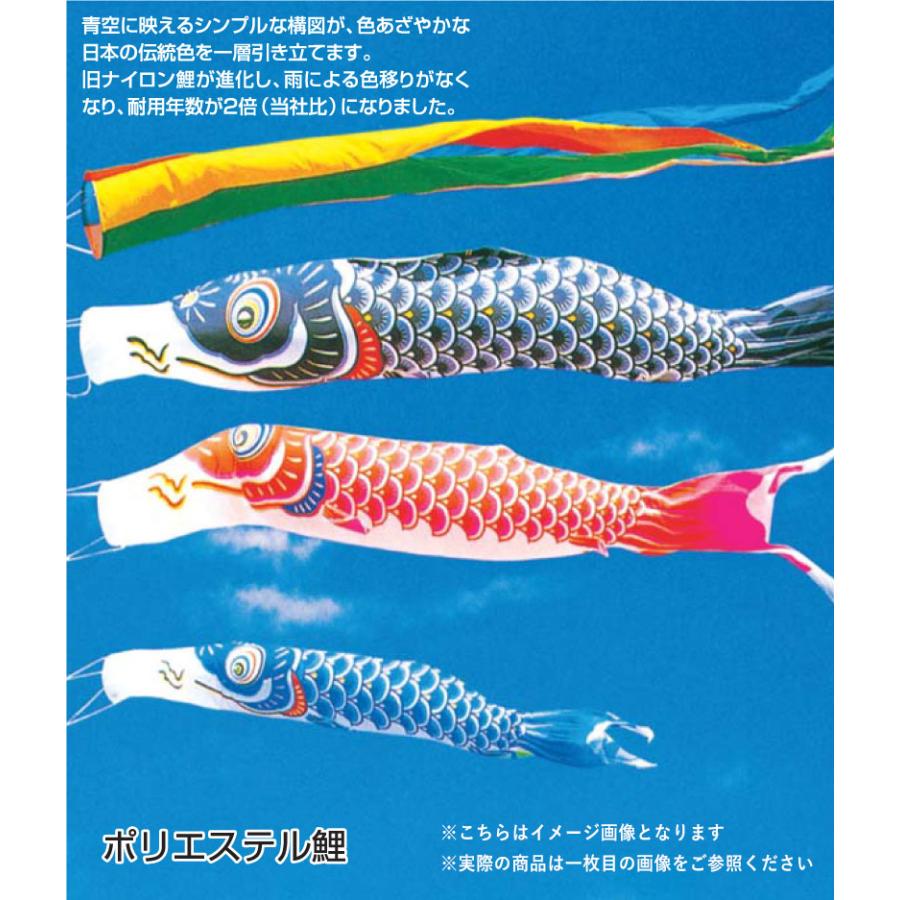 フジサン鯉　鯉のぼり　黒鯉　5m 新品　送料無料！ 鯉のぼり フジサン鯉 庭用大型 富士鯉 5m 8点セット 別途料金で