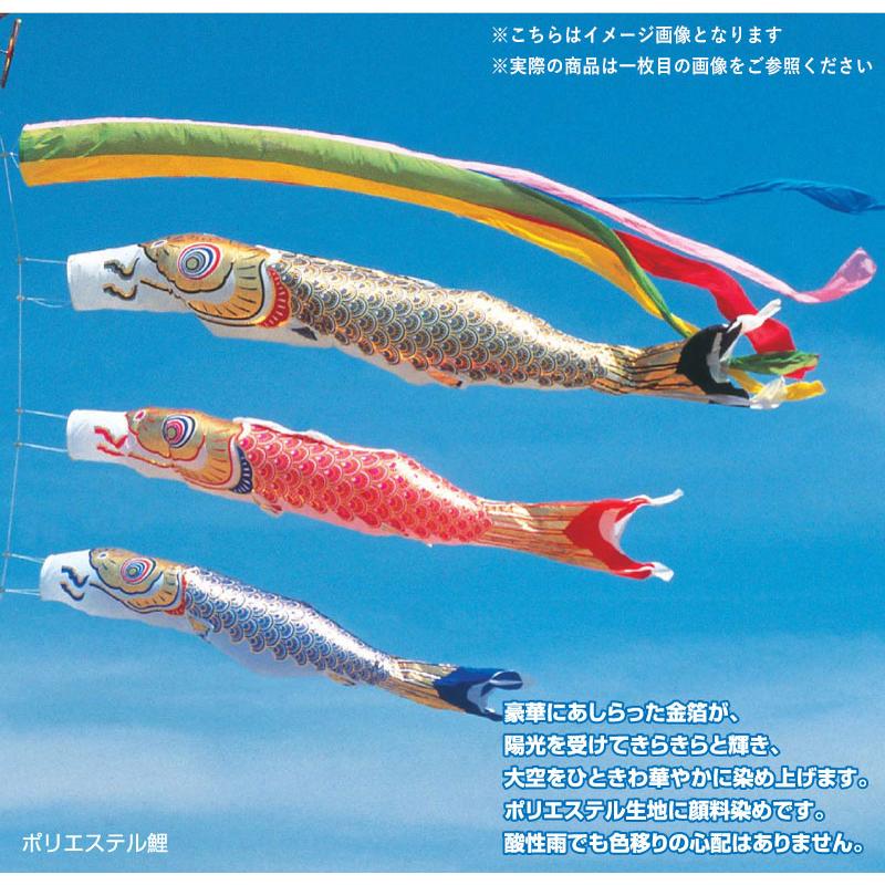 フジサワ黄金鯉6m　（吹き流し、鯉のみ） フジサワ黄金鯉6m（吹き流し、鯉のみ）