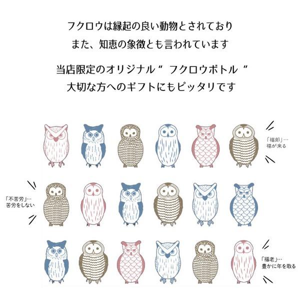ノジェン ステンレスボトル300ml 水筒(ふくろう) : Practica-LIFE