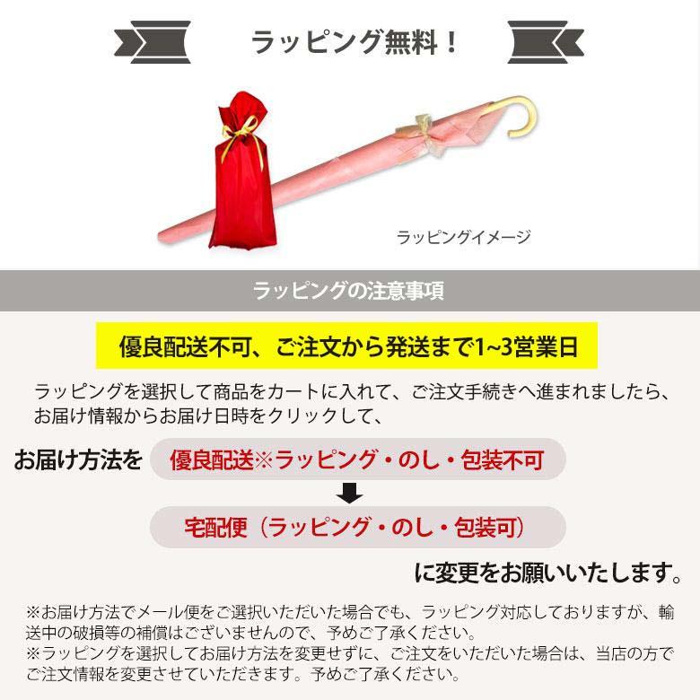 折りたたみ傘 超撥水 ストライプ リボン マリン レディース おしゃれ