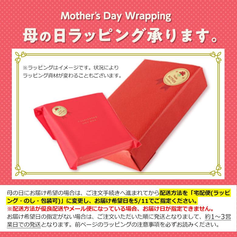 レジカゴ用マイバッグ おしゃれ 折りたたみ 大容量 保冷なし レジカゴ用マイバッグ おしゃれ 折りたたみ 大容量 保冷なし
