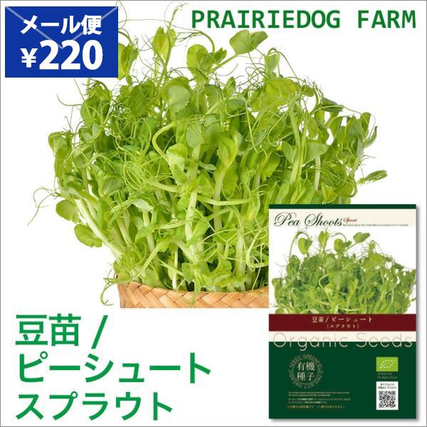 豆苗 スプラウト 種 種子 オーガニック おうちでベジ スプラウト 栽培 Ogs A315 プレーリードッグ 通販 Yahoo ショッピング