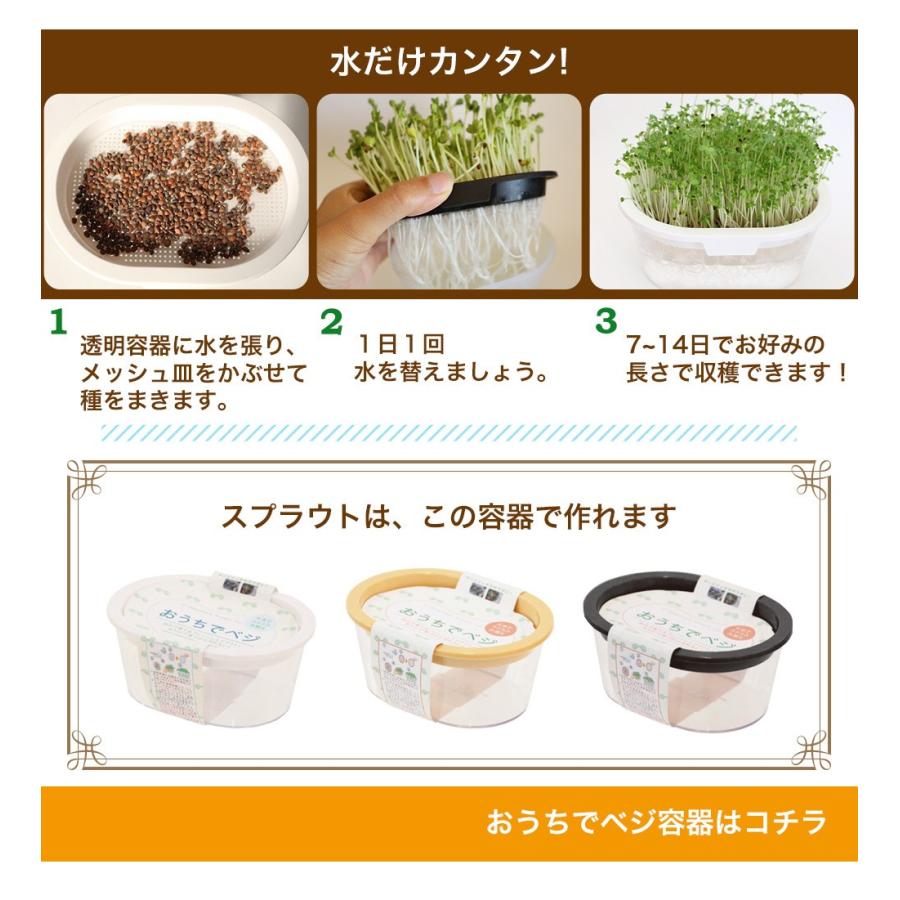 豆苗 スプラウト 種 種子 オーガニック おうちでベジ スプラウト 栽培 Ogs A315 プレーリードッグ 通販 Yahoo ショッピング