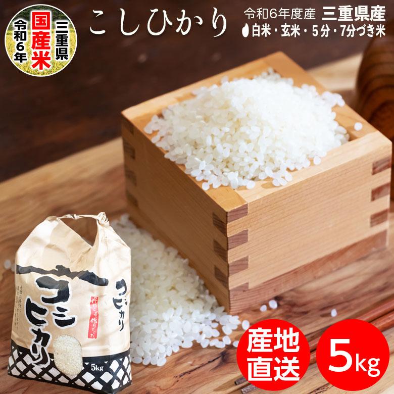 ⑤令和6年度 コシヒカリ 新米