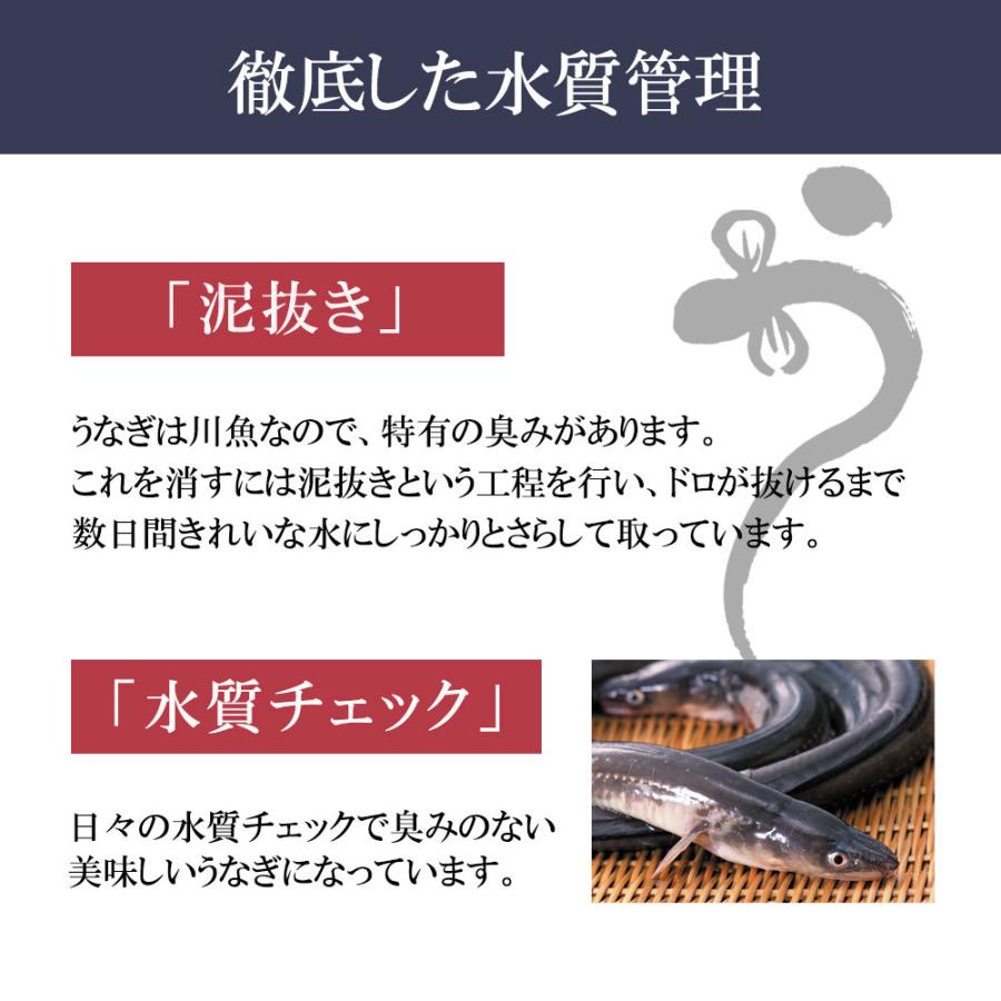 うなぎ 超特大 国産 お中元 2025 ギフト グルメ 食べ物 贈り物 きざみ プレゼント 鰻 刻み カット お取り寄せ 美味しい タレ 鹿児島 お得 80g 3P