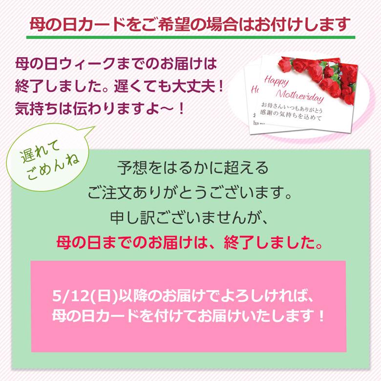 うなぎ 超特大 国産 蒲焼き きざみ 鰻 お取り寄せ ギフト 母の日ギフト グルメ 食べ物 プレゼント 美味しい 鹿児島 お得 開き 250g 2尾 刻み 80g 2P｜prairiedogmij｜17