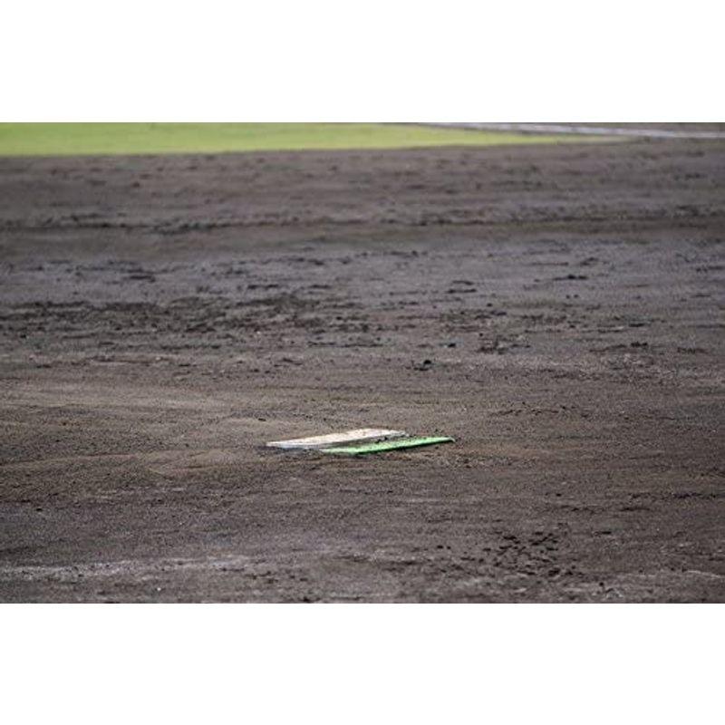 本日価格！！ ナガセケンコー 少年野球ピッチャーマウンドプレート(置き型) 1台 BOYS-P-MOUND 【A2044844815】(11885円)