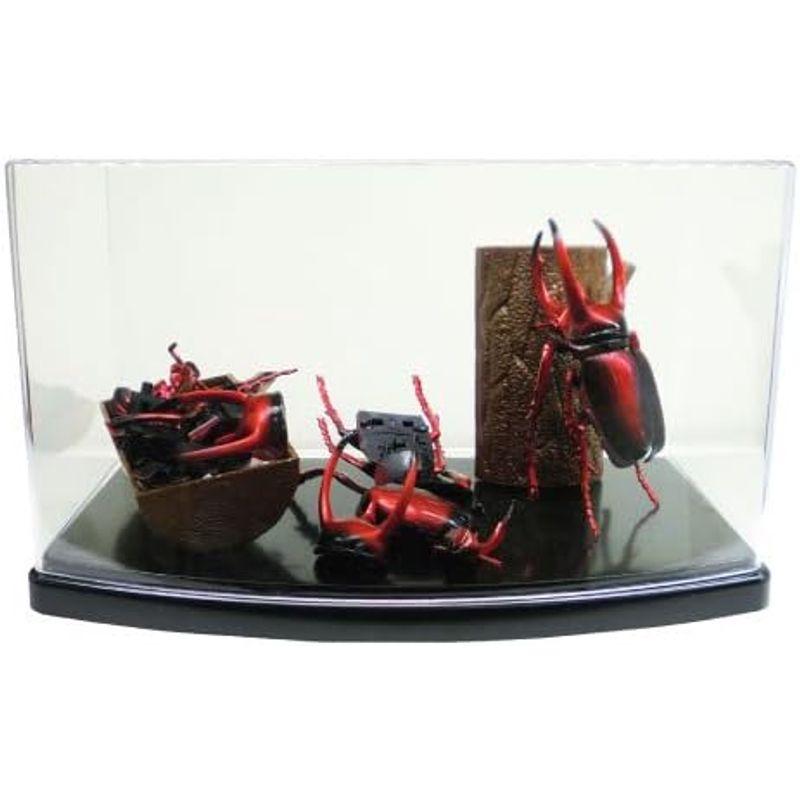 【クーポン】 4Dパズル 昆虫DX 20個入りBOX 【1758441944】(10221円)