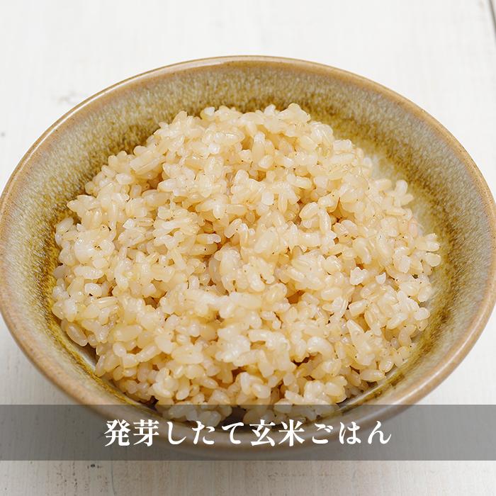 酵素玄米 炊飯器 なでしこ健康生活 NHL-3(w) 発芽玄米 発酵玄米 酵素玄米 炊飯器 なでしこ健康生活 NHL-3(w) 発芽玄米 発酵玄米