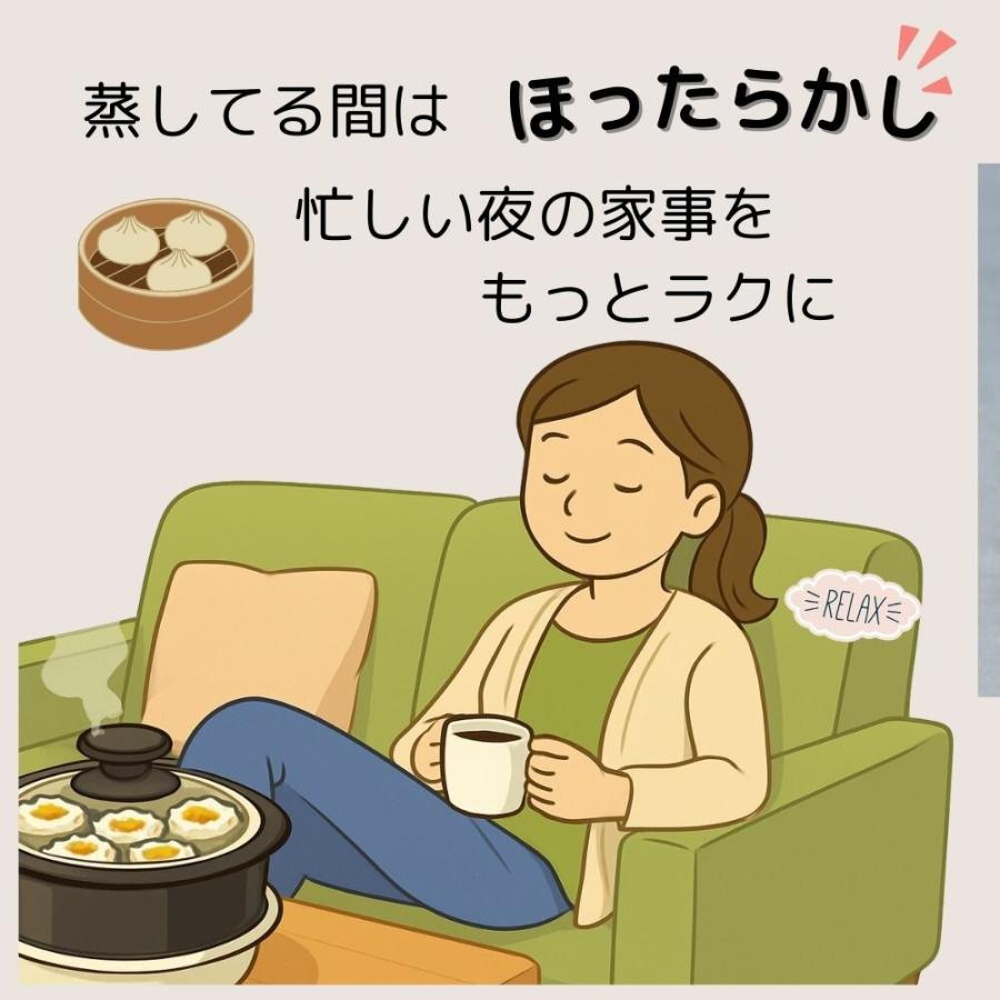 パークレーン のせるだけで使える蒸し器 選べる2タイプ【20cm用