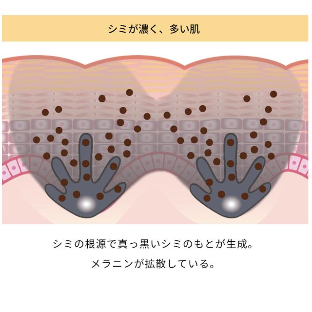 ONE BY KOSE（ワンバイコーセー） メラノショット P 付けかえ用 65ml
