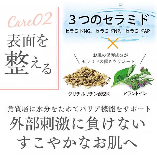 エバメール お徳用2本セット ゲルクリーム リュクス ポンプ 120g 日本