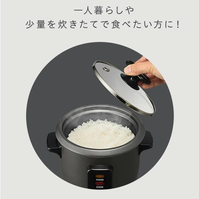 DOSHISHA（ドウシシャ） 【アウトレット】コンパクト 小型 炊飯器 0.5