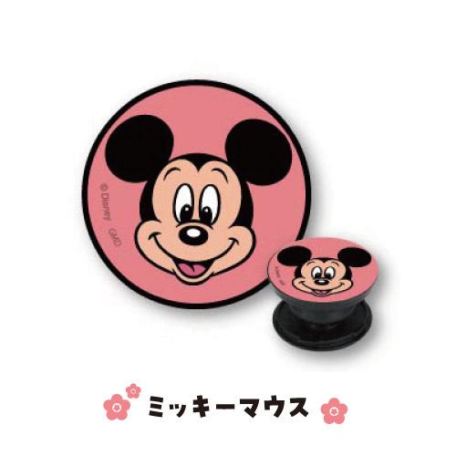 gourmandise（グルマンディーズ） ディズニーキャラクター POCOPOCO DN