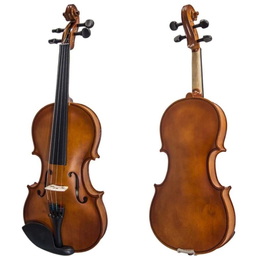 【楽天スーパーセール】 Paititi 4/4 Full Size Artist-100 Student Violin Starter Kit with Brazilwood Bow Lightweight Case， Shoulder Rest， Extra Strings and Rosin