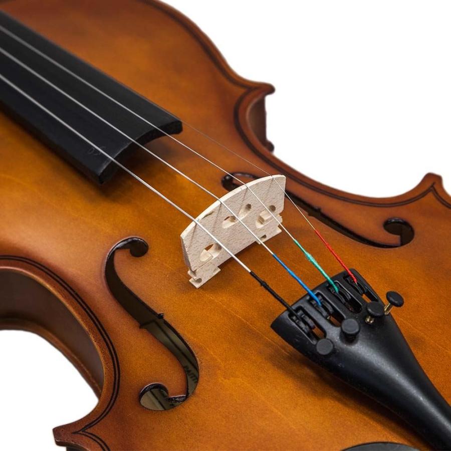 【楽天スーパーセール】 Paititi 4/4 Full Size Artist-100 Student Violin Starter Kit with Brazilwood Bow Lightweight Case， Shoulder Rest， Extra Strings and Rosin