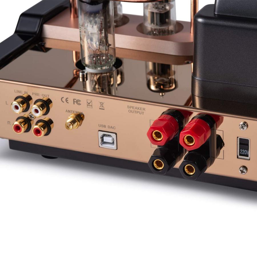 【驚きの値段で】 Dared MP-5BT a Stereo Vacuum Tube Integrated Amplifier，Hybrid Amplifier， Bluetooth Connection，USB/DAC Input， Headphone Output， Pre Output，25Wx2，with T