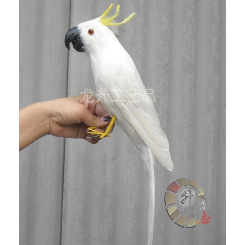 オウム 人形 キバタン ドール ぬいぐるみ 43cm 鳥 バード 置物 オブジェ かわいい 白い鳥 本物の羽 精巧 オブジェ 置き物 Ht Pre Store 通販 Yahoo ショッピング
