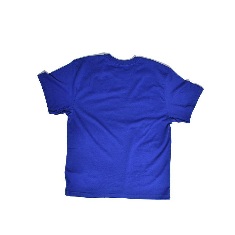 トップス THE NORTH FACE XX KAWS TEE BOLT BLUE THE NORTH FACE 【ネコポス配送】日本未発売 KAWS x The North