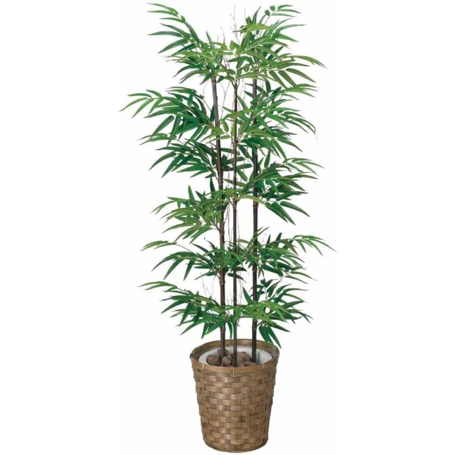 正規販売店品 光触媒 人工観葉植物 光の楽園 黒竹 1 2m 177a170 Precious3568 通販 Yahoo ショッピング 評価 Dev Visitatlantida Com