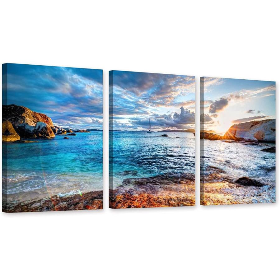 ソファ 黒 桜古典 Piy Painting キャンバス絵画 青い海の絵 太陽が青い海を照らす現代の風景装飾画 海画自然の美 海的景色 虹の絵 部屋飾り 壁の絵 壁 Lra7n04ndn Www Kbdav Ac In