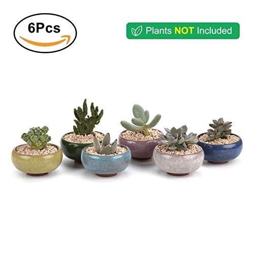 T4u 6 5cm 多肉植物鉢 ミニサボテン鉢 植木鉢 底穴付き 植物なし 6個入り 誕生日 ギフト インテリア 飾り Tjq8172 雑貨ホビープレコプレ 通販 Yahoo ショッピング