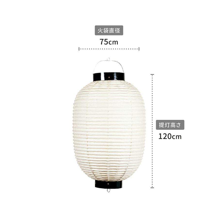 祭礼提灯 お祭り 提灯 高張 二尺五寸長 ちょうちん : 節句&ギフト専門