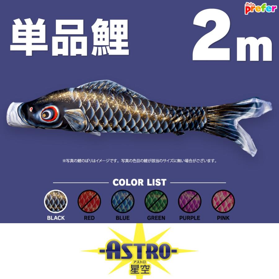 こいのぼり 単品 ASTRO 星空鯉 2m 単品鯉｜prefer