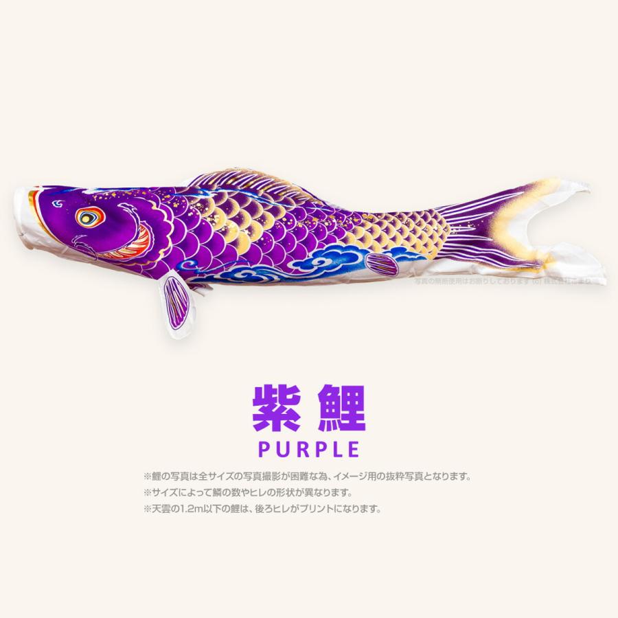 ぷりふあ こいのぼり 単品 鯉のぼり 天雲コントレイル CONTRAIL