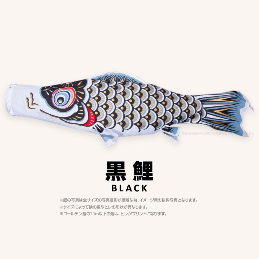 鯉のぼり 5m ゴールデン赤鯉 ゴールド鯉 5mセット （鯉5匹