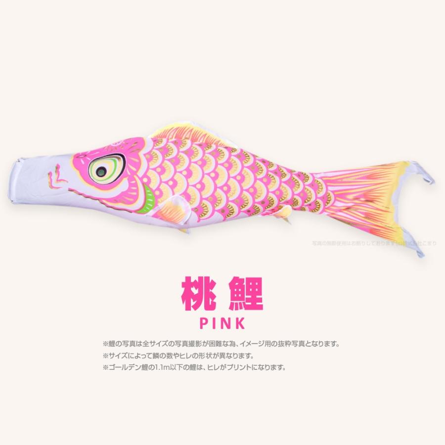 半額品 こいのぼり 単品 ゴールデン鯉 5m 単品鯉 Materialworldblog Com