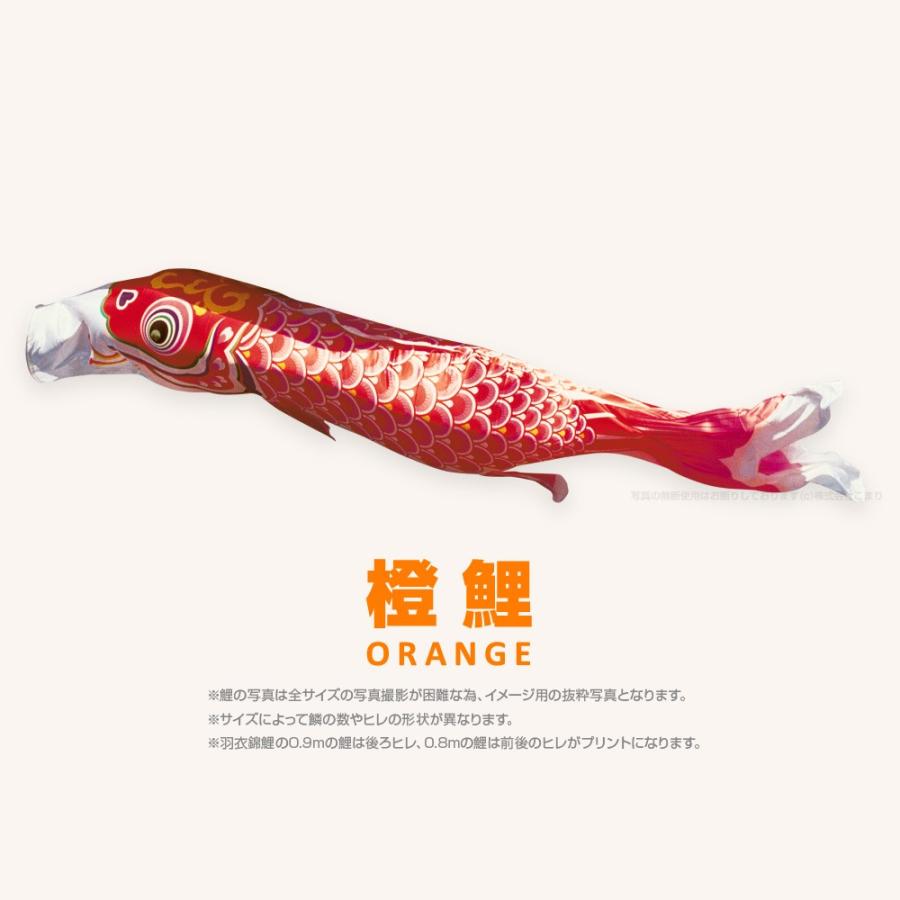 こいのぼり 単品 羽衣錦鯉 3m 単品鯉 : 節句&ギフト専門店 ぷりふあ