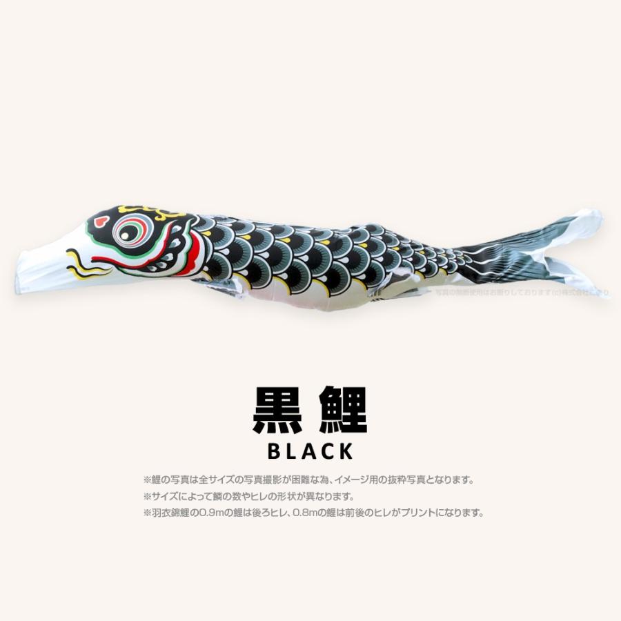 こいのぼり 単品 羽衣錦鯉 4m 単品鯉_1