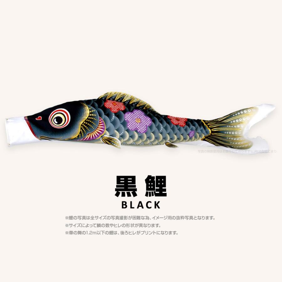 こいのぼり 単品 華の舞 1.2m 単品鯉_1