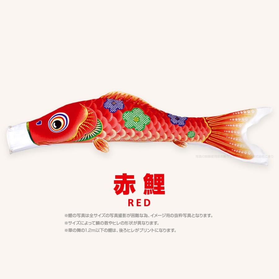 こいのぼり 単品 華の舞 1.2m 単品鯉_2