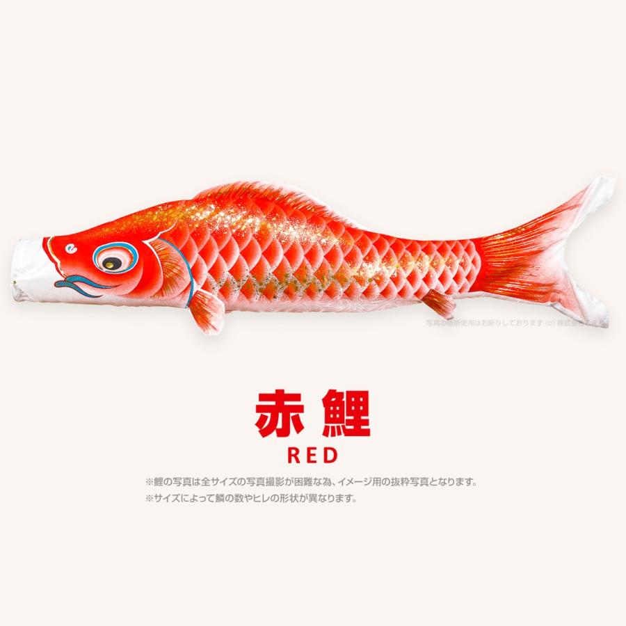 鯉のぼり 赤色 単品 端午の節句 こどもの日 ぷりふあ こいのぼり 単品 鯉のぼり 春颯 1.2m 単品鯉 : 節句&ギフト