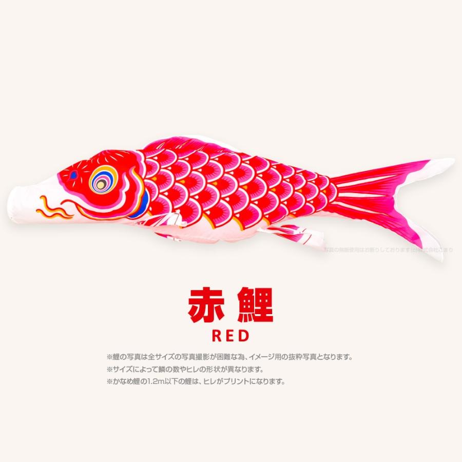 鯉のぼり 単品 かなめ鯉 0.9m 単品鯉 こいのぼり : 節句&ギフト 鯉のぼり 単品 かなめ鯉 0.9m 単品鯉 こいのぼり : 節句&ギフト