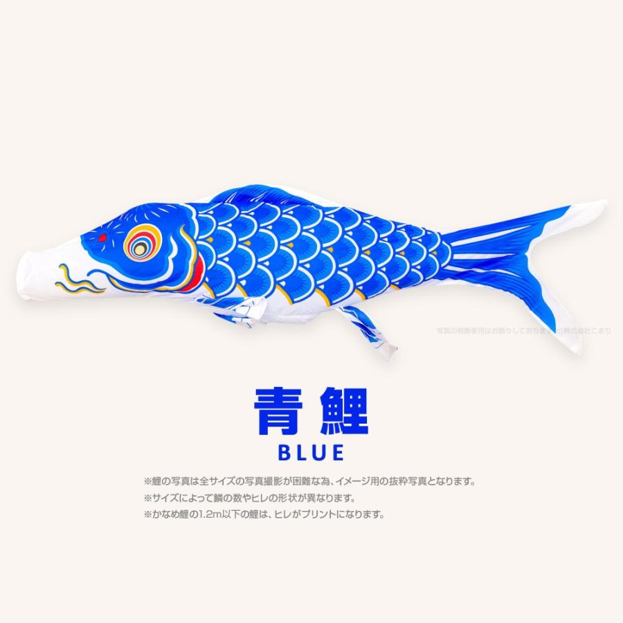 鯉のぼり 単品 かなめ鯉 1.5m こいのぼり : 節句&ギフト専門店 ぷりふ