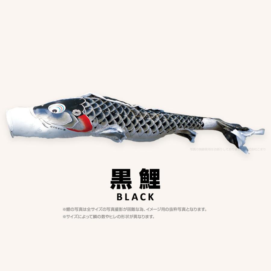 こいのぼり 単品 吉兆鯉 3m 単品鯉 黒 赤 青 緑 紫の画像