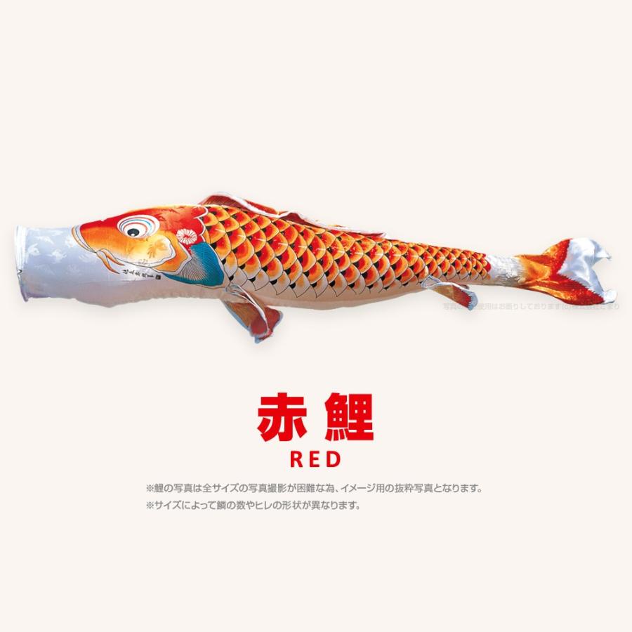 こいのぼり 単品 吉兆鯉 3m 単品鯉 黒 赤 青 緑 紫の画像