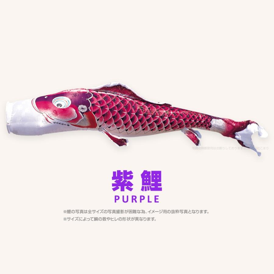 こいのぼり 単品 吉兆鯉 3m 単品鯉 黒 赤 青 緑 紫の画像