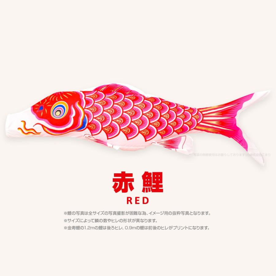 こいのぼり 単品 金寿鯉 3m 単品鯉 : 節句&ギフト専門店 ぷりふあ人形