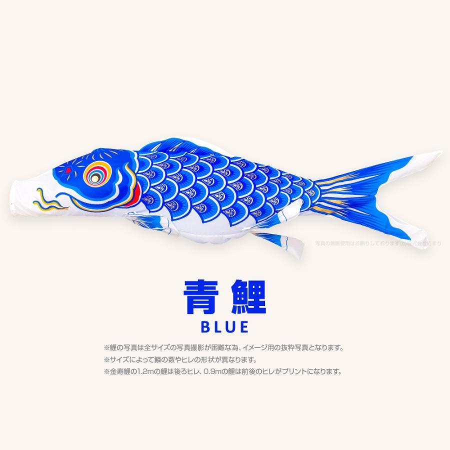こいのぼり 単品 金寿鯉 3m 単品鯉 : 節句&ギフト専門店 ぷりふあ人形