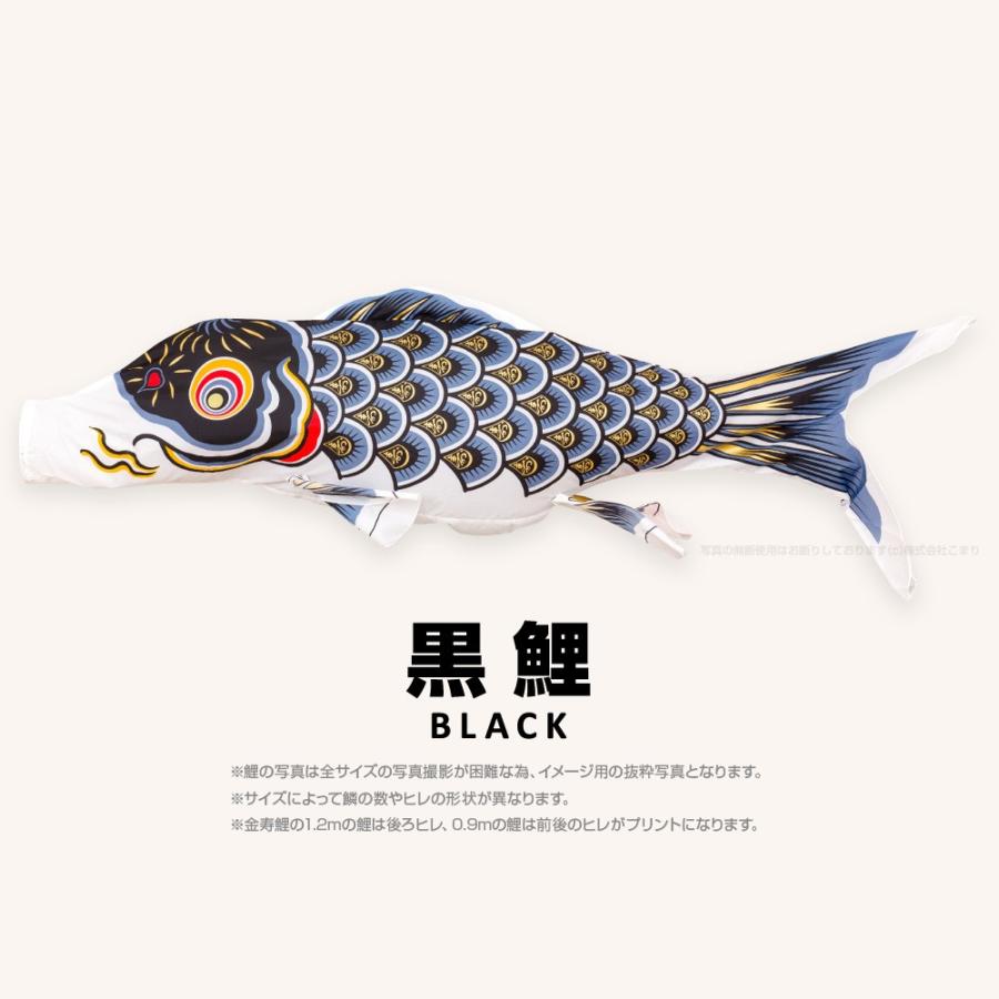 こいのぼり 単品 金寿鯉 4m 単品鯉 : 節句&ギフト専門店 ぷりふ こいのぼり 単品 金寿鯉 4m 単品鯉 : 節句&ギフト専門店 ぷりふ