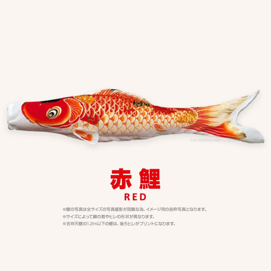 こいのぼり 単品 吉祥天 0.9m 単品鯉 : 節句&ギフト専門店 ぷりふあ